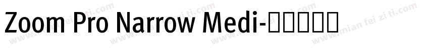 Zoom Pro Narrow Medi字体转换